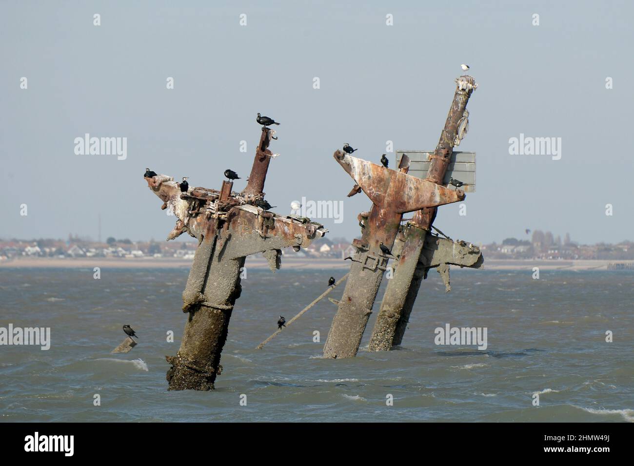 Sheerness, Kent, Großbritannien. 12th. Februar 2022. Das Wrack der SS Richard Montgomery, das im August 1944 in der Themse-Mündung vor Sheerness Kent versank. Das Schiff lief im Jahr WW2 auf Grund und enthält noch 1.400 Tonnen Sprengstoff. Jetzt, 78 Jahre nach dem Untergang der Royal Naval Bombenentsorgung, wurden Experten gerufen, um das Wrack sicher zu machen, indem zunächst die Masten der Schiffe entfernt wurden, die innerhalb der Sperrzone sichtbar geblieben sind Das Schiff. Aufgenommen mit Southend on Sea Essex in der Ferne. Quelle: MARTIN DALTON/Alamy Live News Stockfoto