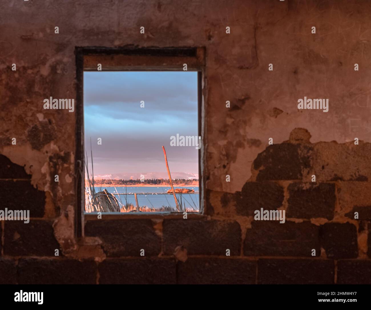 Blick auf einen Teich in der Camargue, einem geschützten Naturschutzgebiet, vom Fenster einer Fischerhütte aus. Südfrankreich. Stockfoto