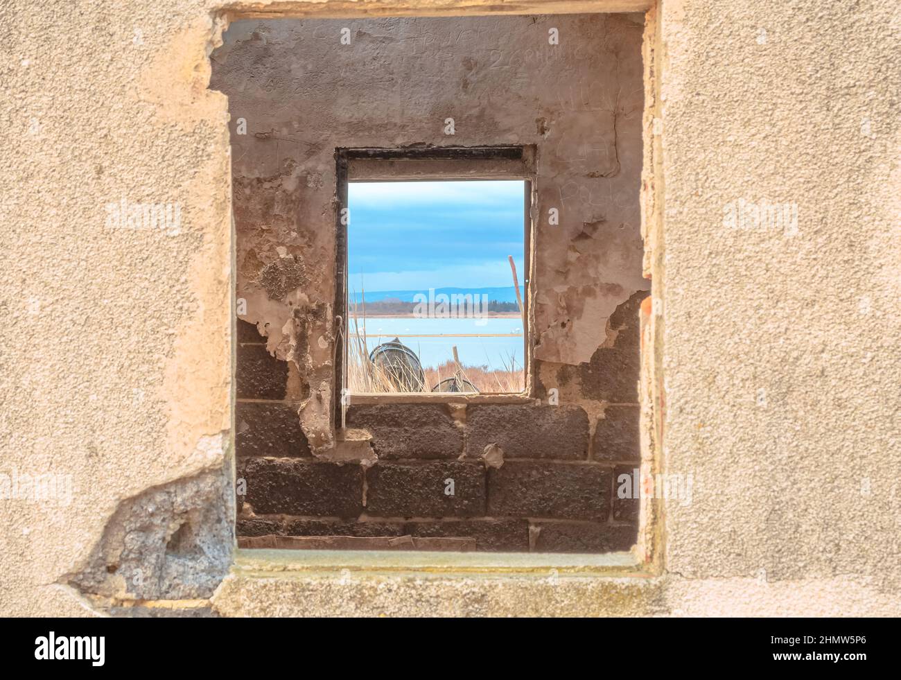 Blick auf einen Teich in der Camargue, einem geschützten Naturschutzgebiet, vom Fenster einer Fischerhütte aus. Südfrankreich. Stockfoto