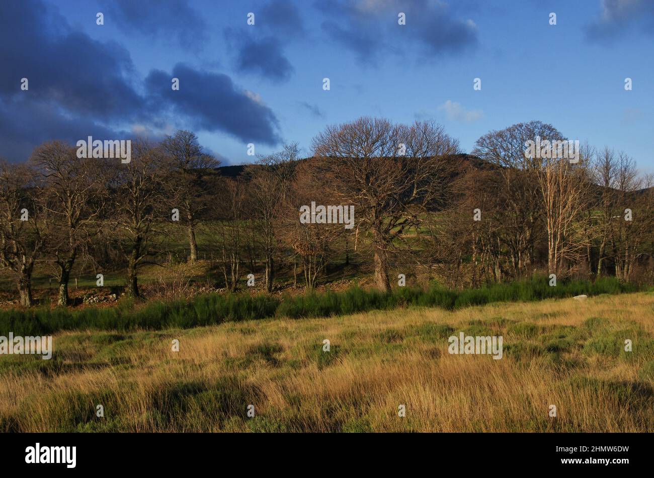 Frankreich cevennes nationalpark Fotos und Bildmaterial in hoher