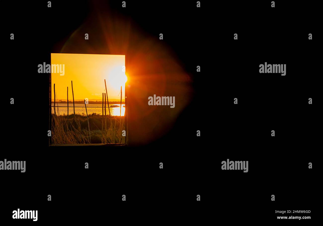 Blick auf einen Teich in der Camargue, einem geschützten Naturschutzgebiet, vom Fenster einer Fischerhütte aus. Südfrankreich. Stockfoto