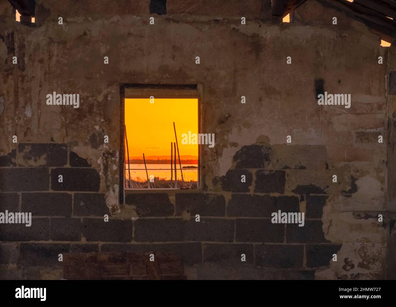 Blick auf einen Teich in der Camargue, einem geschützten Naturschutzgebiet, vom Fenster einer Fischerhütte aus. Südfrankreich. Stockfoto