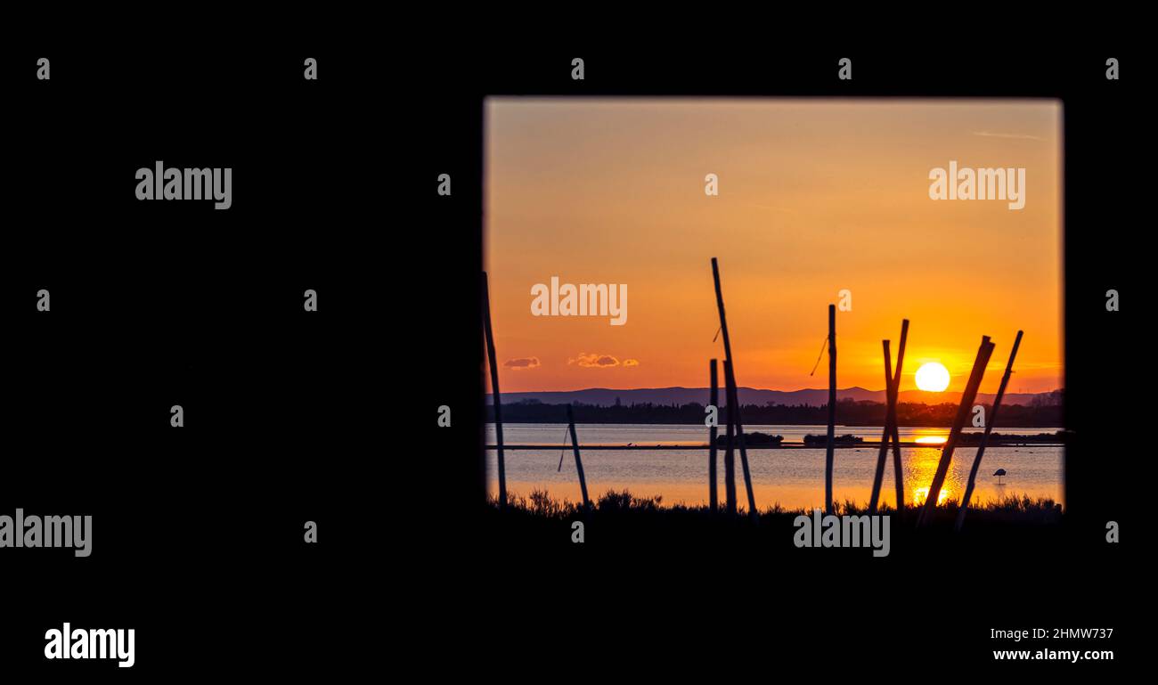 Blick auf einen Teich in der Camargue, einem geschützten Naturschutzgebiet, vom Fenster einer Fischerhütte aus. Südfrankreich. Stockfoto