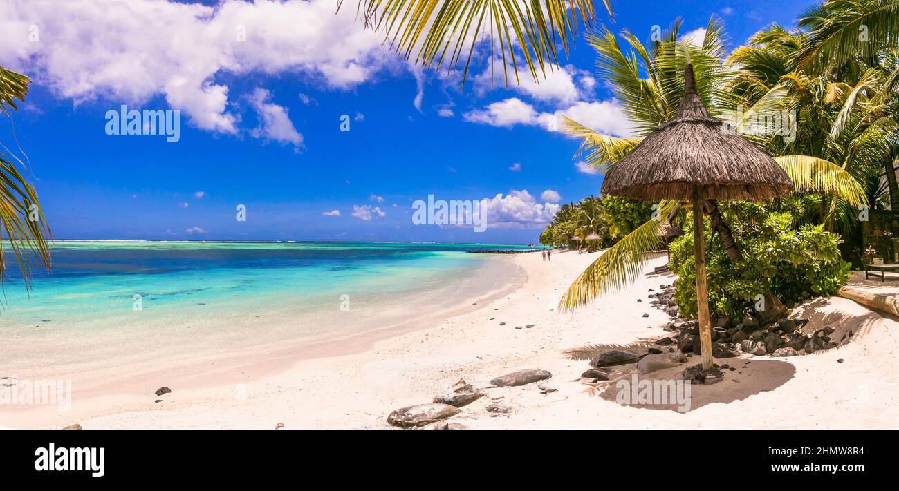 Idyllischer tropischer Urlaub. Traumstrand mit türkisfarbenem Meer, Palmen und weißem Sand. Mauritius-Insel Stockfoto