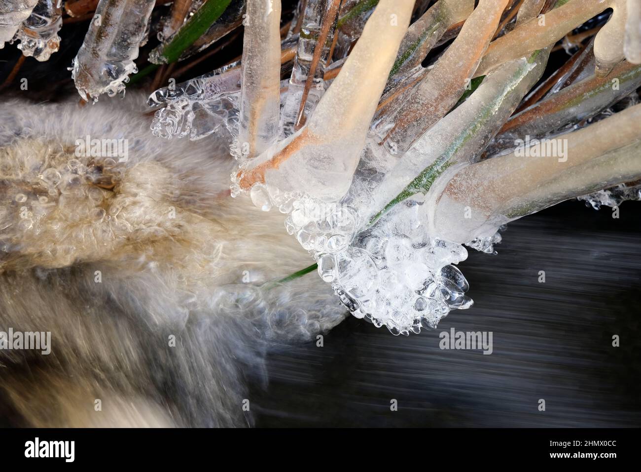 Eiszapfen hängen in der Nähe über dem Wasserstrom Stockfoto