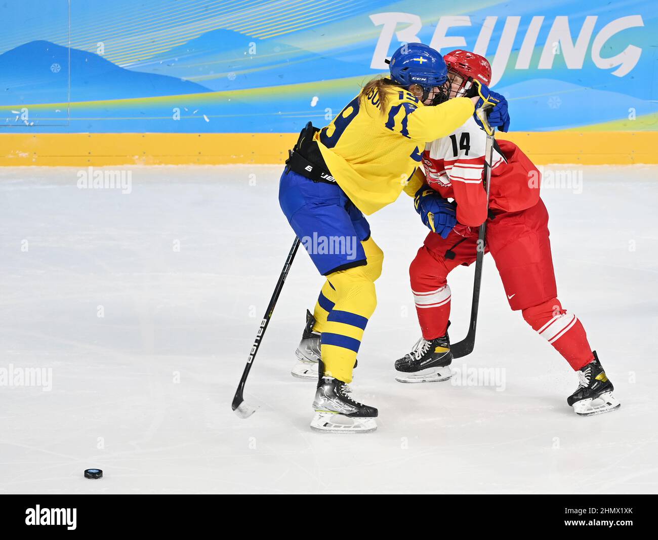 (220212) -- PEKING, 12. Februar 2022 (Xinhua) -- Sara Hjalmarsson (L) aus Schweden kollidiert während der Vorrunde der Eishockey-Frauen zwischen Schweden und Dänemark im Wukesong Sports Center in Peking, der Hauptstadt Chinas, am 8. Februar 2022 mit Nicoline Jensen. So cool wie „Transformers“ sind die Eishockeyspieler auf der Eisbahn „gepanzert“, um sich vor Verletzungen im größten Maße zu schützen. Als die chinesischen Eishockeyspieler bei den Olympischen Winterspielen 2022 in Peking auftauchten, zieht dieses Spiel immer mehr die Aufmerksamkeit der Öffentlichkeit auf sich. Im Wukesong Sportzentrum in Peking, staf Stockfoto