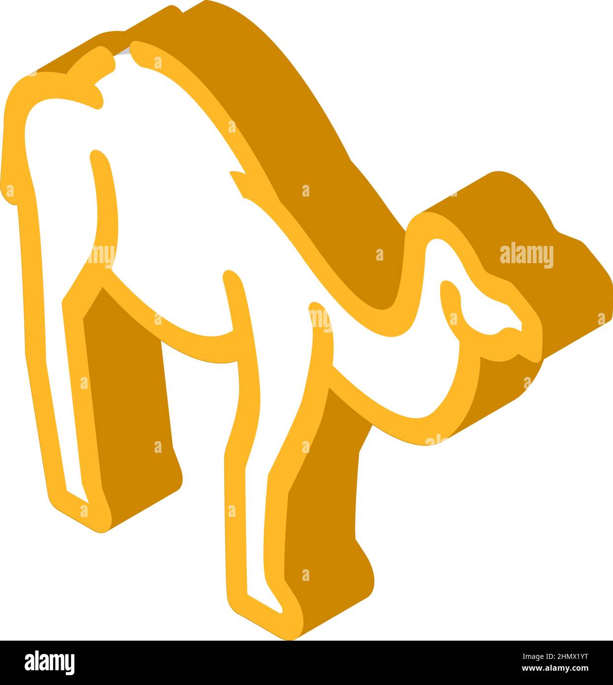 Isometrische Symboldarstellung für Kameltiere Stock Vektor