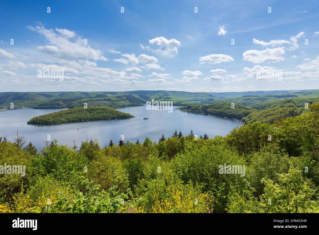 Rursee im Eifel-Nationalpark im Sommer Stockfoto