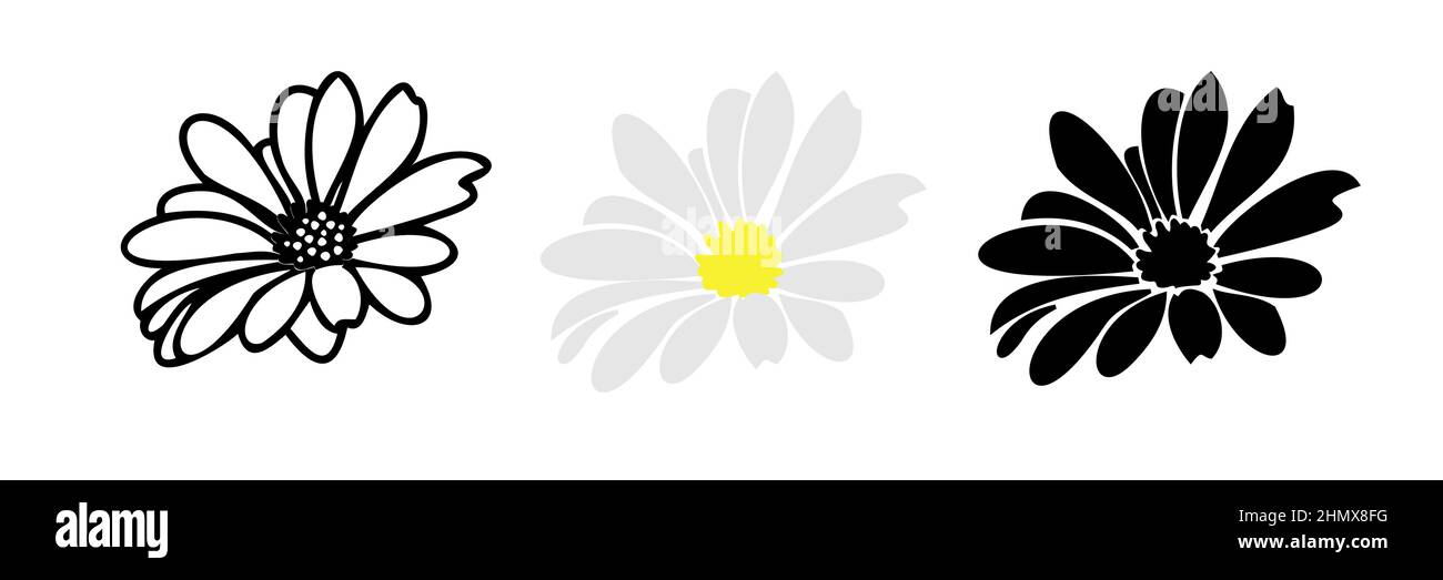 Gänseblümchen Sommerblume, florale Elemente von Hand gezeichnet Stock Vektor