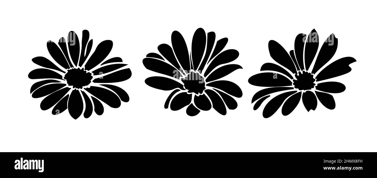Gänseblümchen Sommerblume, florale Elemente von Hand gezeichnet Stock Vektor
