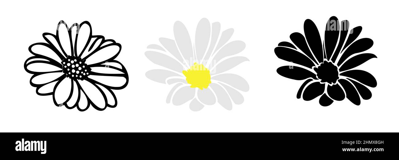 Gänseblümchen Sommerblume, florale Elemente von Hand gezeichnet Stock Vektor