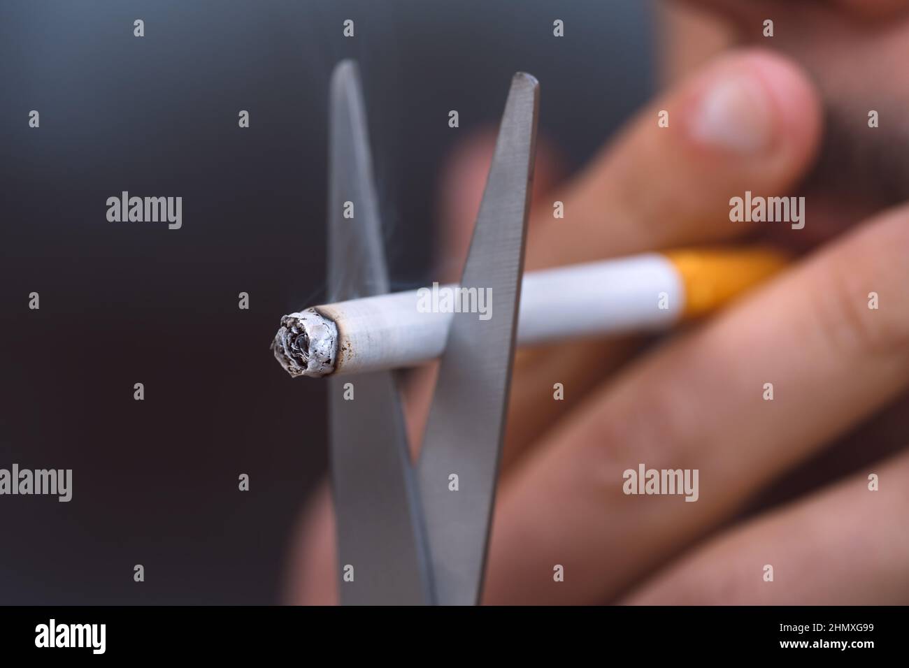 Zigarette mit einer Schere schneiden. Hören Sie auf zu rauchen, hören Sie auf zu rauchen oder rauchen Sie nicht. Tabak ablehnen und schlechte Angewohnheit beenden Stockfoto
