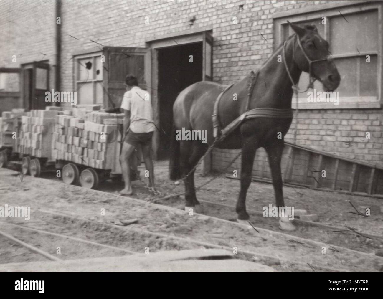 Klassisches Arbeitspferd aus den 1930er Jahren. Ein Pferd schleppt volle Ziegelwagen. Arbeitspferde mussten den ganzen Tag diese Wagen schleppen. Wenn man fertig ist, musste das Pferd wieder diese Wagen/Wagen ziehen Quelle: Originalfotos ZUSÄTZLICHE-RECHTE-FREIGABE-INFO-NICHT-VERFÜGBAR Stockfoto