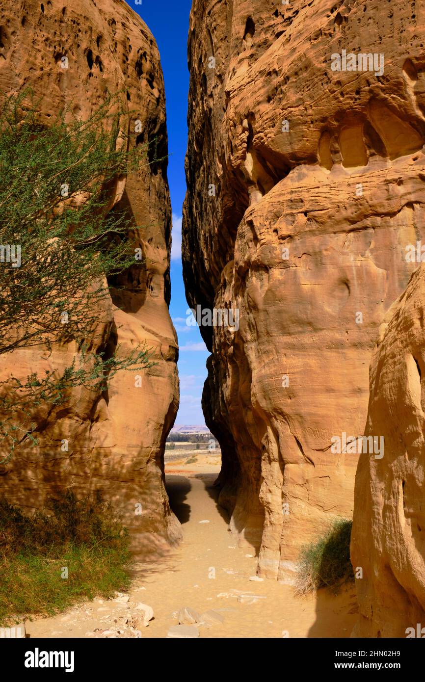 Saudi-Arabien, Region Al Madinah, Alula oder Al Ula, Nabatäisches Grab in der archäologischen Stätte Hegra (Madain Saleh), Jabal Ithlb Stockfoto