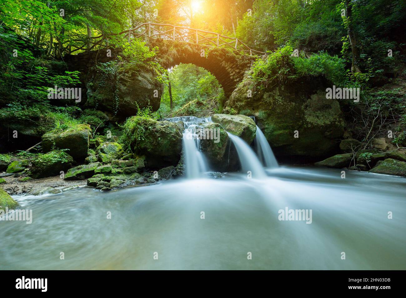 Versteckter Mysterien Wasserfall im Wald Stockfoto