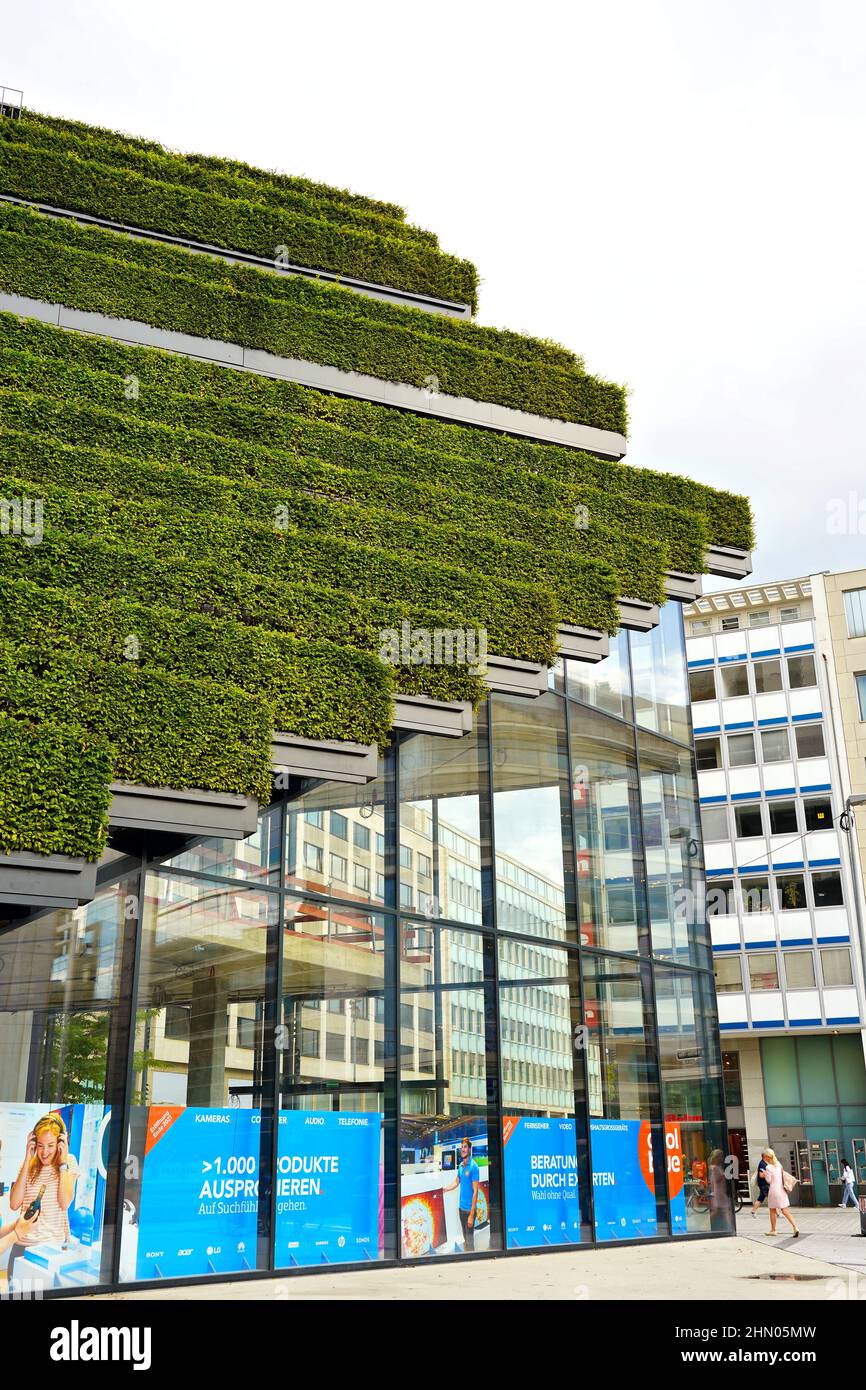 Nahaufnahme eines klimafreundlichen Gebäudachs mit grünen Hornbalken-Hecken von Ingenhoven-Architekten am Kö-Bogen II in Düsseldorf. Stockfoto
