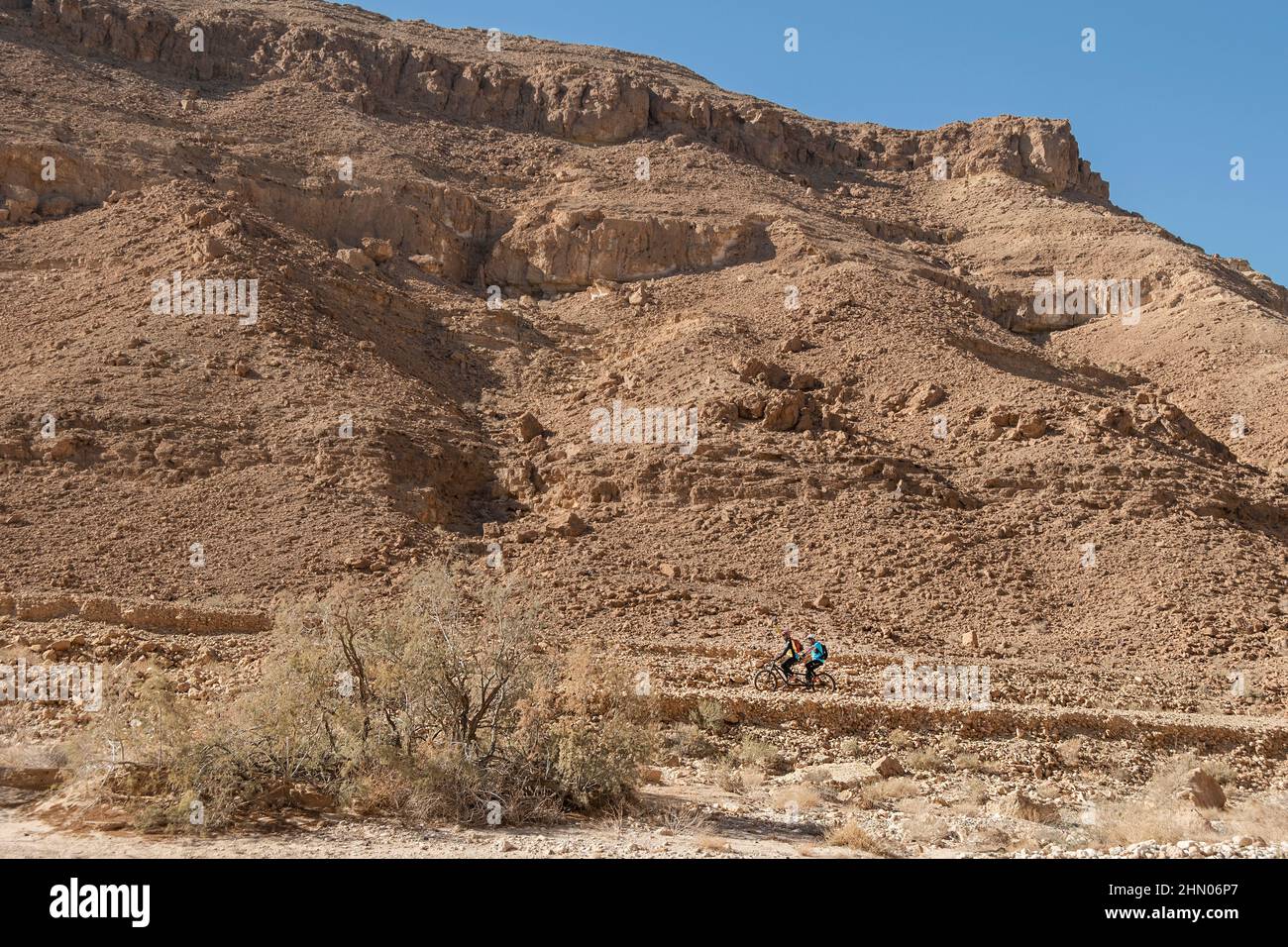 Ein blinder Fahrradfahrer auf einem Tandem-Mountainbike mit einem sehenden Fahrer, der den Israel Bike Trail in Wadi Nekarot mit einem Tamarisken aus Salzzeder im for genießt Stockfoto