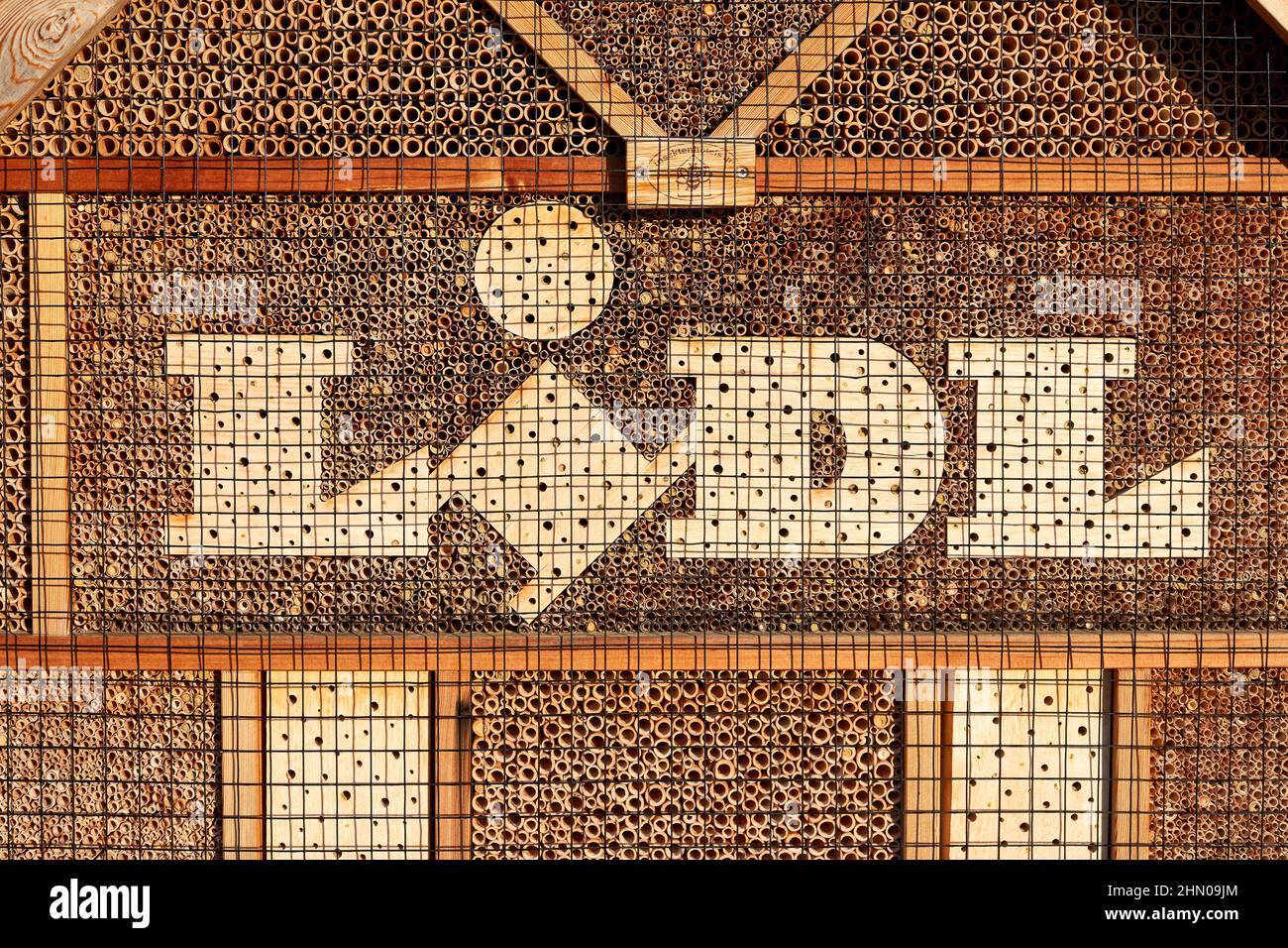 Kirchheim, 12. Februar 2022: Lidl Bienenhotel als Überwinterungshilfe für Insekten. Gebäude zum Schutz der Tiere, aus Holz. Nahaufnahme, Muster Stockfoto