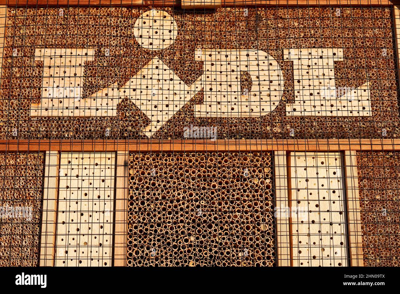 Kirchheim, 12. Februar 2022: Lidl Bienenhotel als Überwinterungshilfe für Insekten. Gebäude zum Schutz der Tiere, aus Holz. Nahaufnahme, Muster Stockfoto