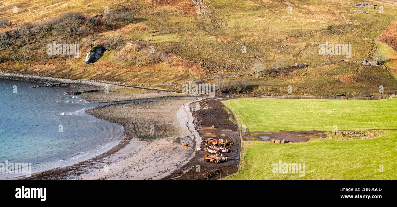 Die Bucht von Camas nan Geall auf der Halbinsel Ardnamurchan ist nur eine idyllische Highland-Szene. Stockfoto