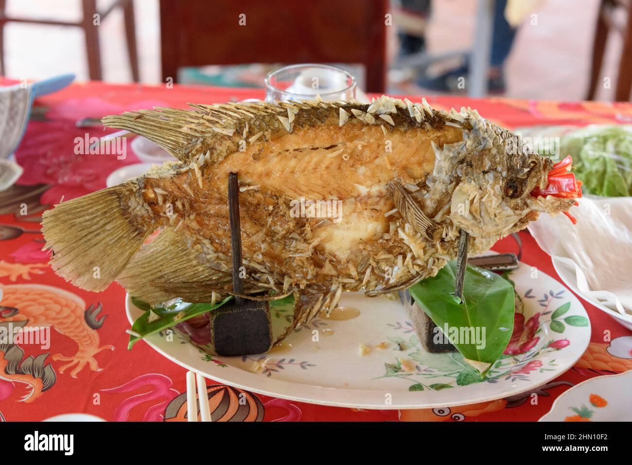 Vietnamesisches elefantfischohr -Fotos und -Bildmaterial in hoher Auflsung   Alamy