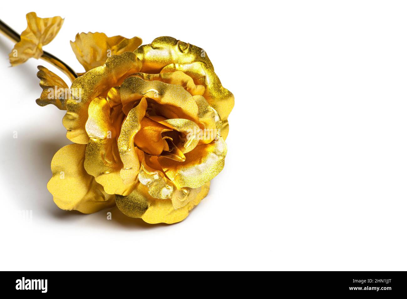 Goldene Rose auf weißem Hintergrund Stockfoto