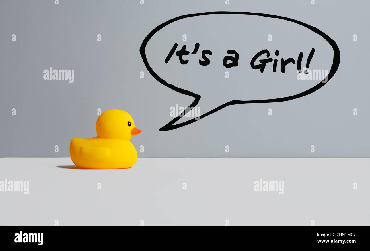 Gelbe Spielzeug-Gummiente macht die Ankündigung, es ist ein Mädchen. Babyansage oder Babydusche-Konzept für Grußbotschaften. Stockfoto