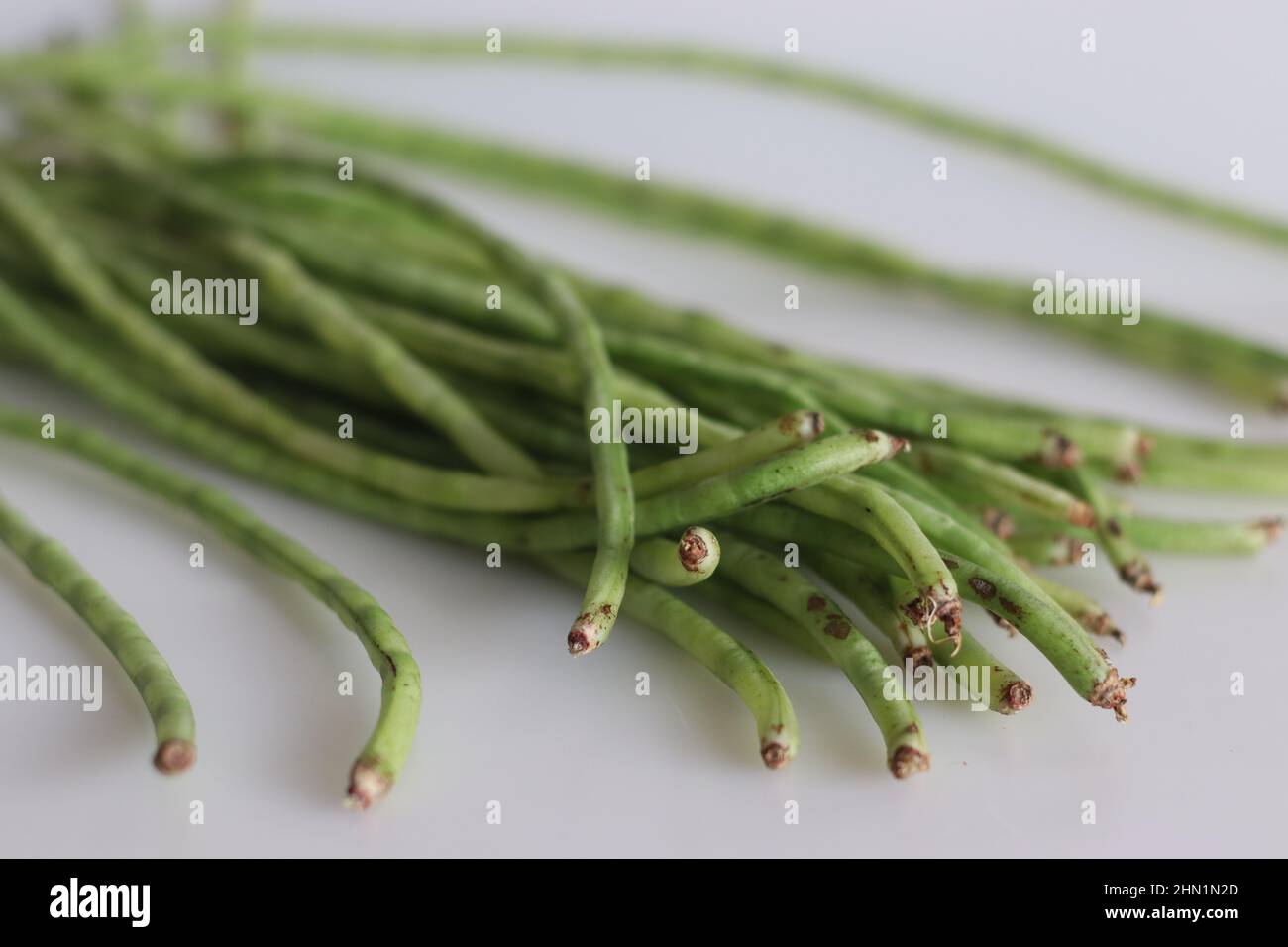 Bund langer Bohnen. Es ist auch bekannt als die lange podded Cowpea, Spargelbohne, Schlangenbohne oder chinesische lange Bohne. Aufgenommen auf weißem Hintergrund Stockfoto