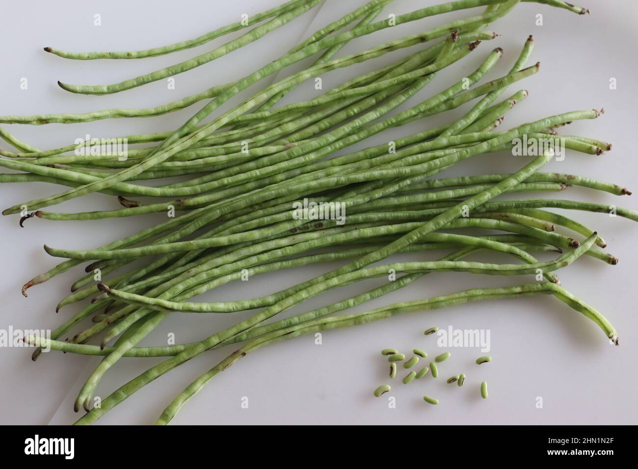 Bund langer Bohnen. Es ist auch bekannt als die lange podded Cowpea, Spargelbohne, Schlangenbohne oder chinesische lange Bohne. Aufgenommen auf weißem Hintergrund Stockfoto