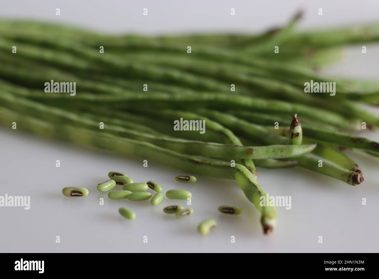 Bund langer Bohnen. Es ist auch bekannt als die lange podded Cowpea, Spargelbohne, Schlangenbohne oder chinesische lange Bohne. Aufgenommen auf weißem Hintergrund Stockfoto