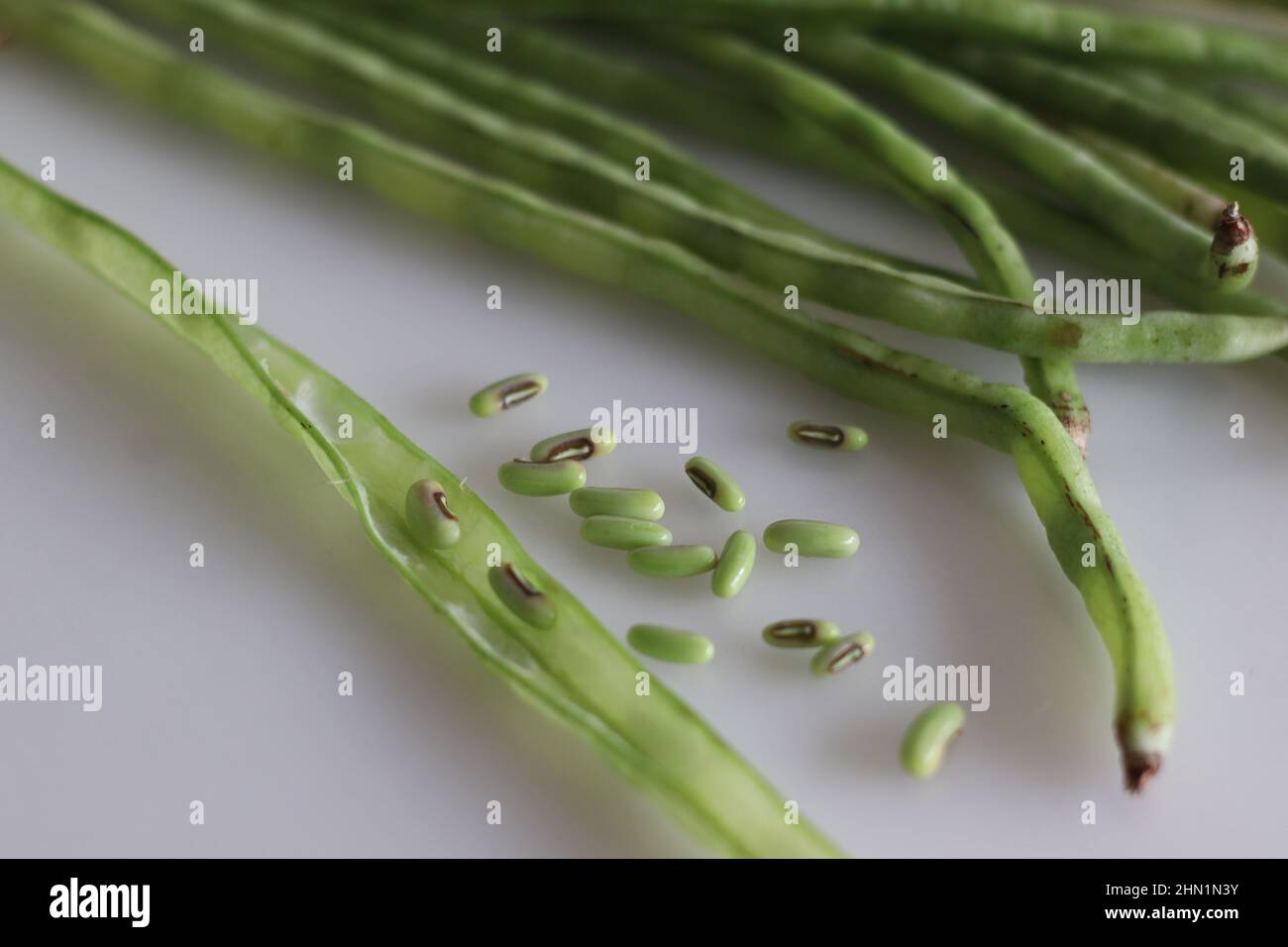 Ein paar lange Bohnen, die sich mit Bohnen aus der Hülse aufspalten, auf dem Tisch verteilen. Es ist auch bekannt als die lange podded Cowpea, Spargelbohne, Schlangenbohne Stockfoto