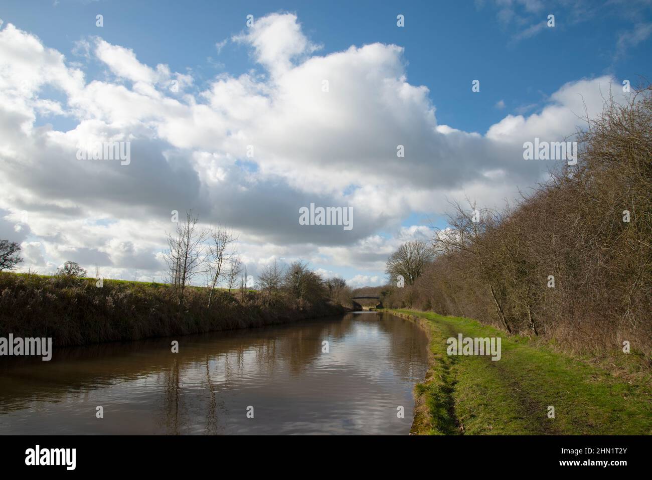 Der Middlewich-Zweig des Shropshire Union Kanals Stockfoto