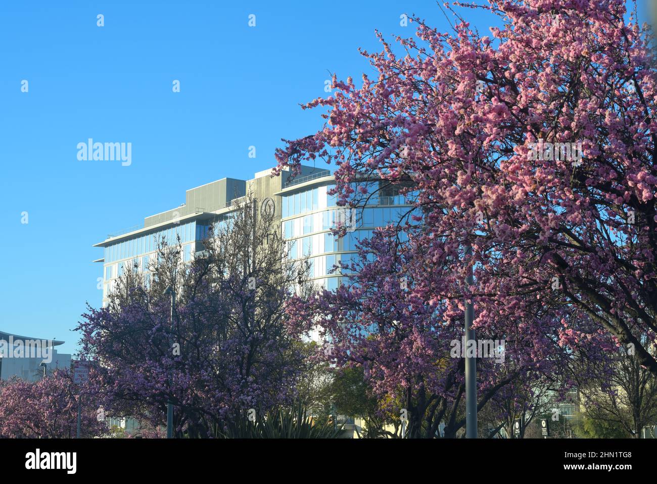 Das luxuriöse NIA Hotel (Marriott, The Autograph Collection), Menlo Park CA Stockfoto