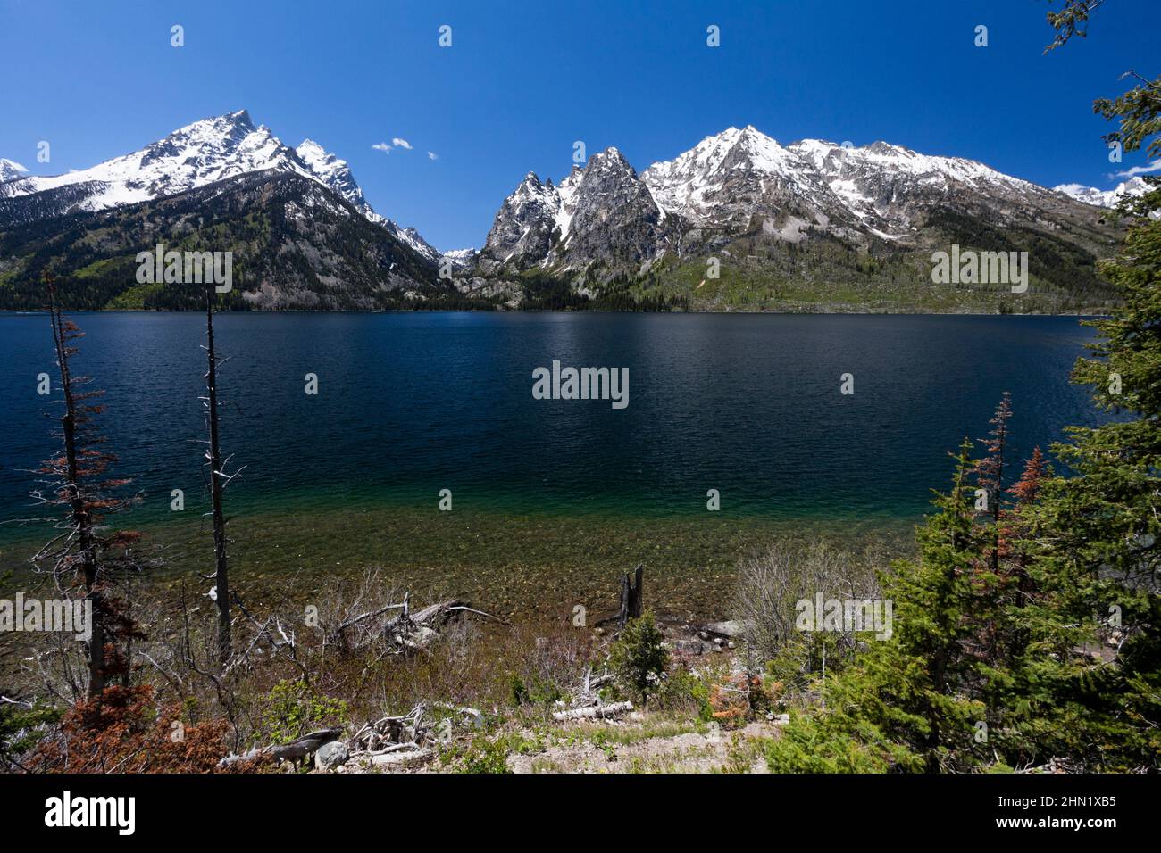 Jenny Lake und Grand Teton Mountain Range im Juni, Grand Teton NP, Wyoming, USA Stockfoto