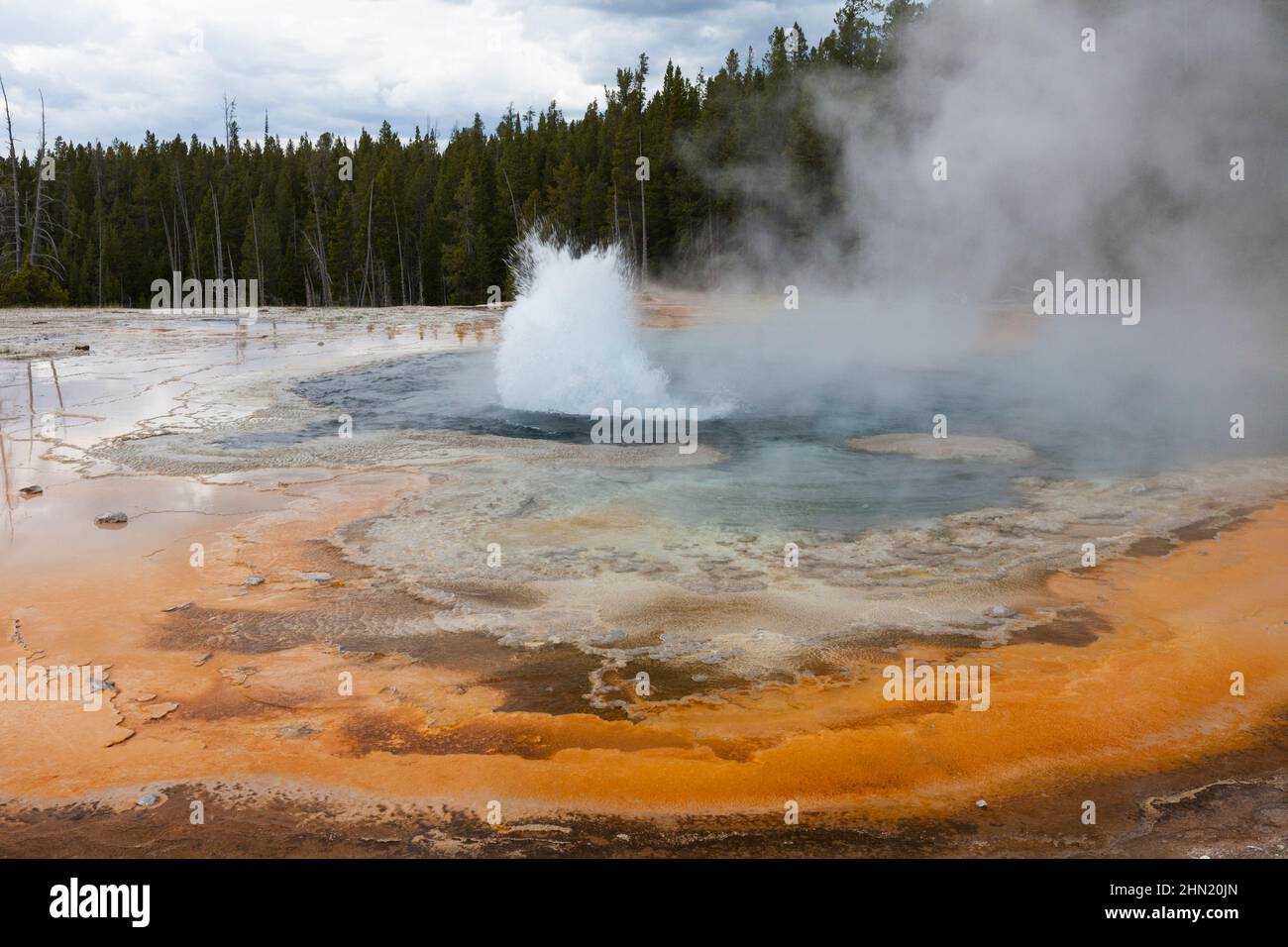 Solitary Geyser, auf dem östlichen Pfad zum Observation Point, am Old Faithful Geyser Basin, Yellowstone NP, Wyoming, USA Stockfoto