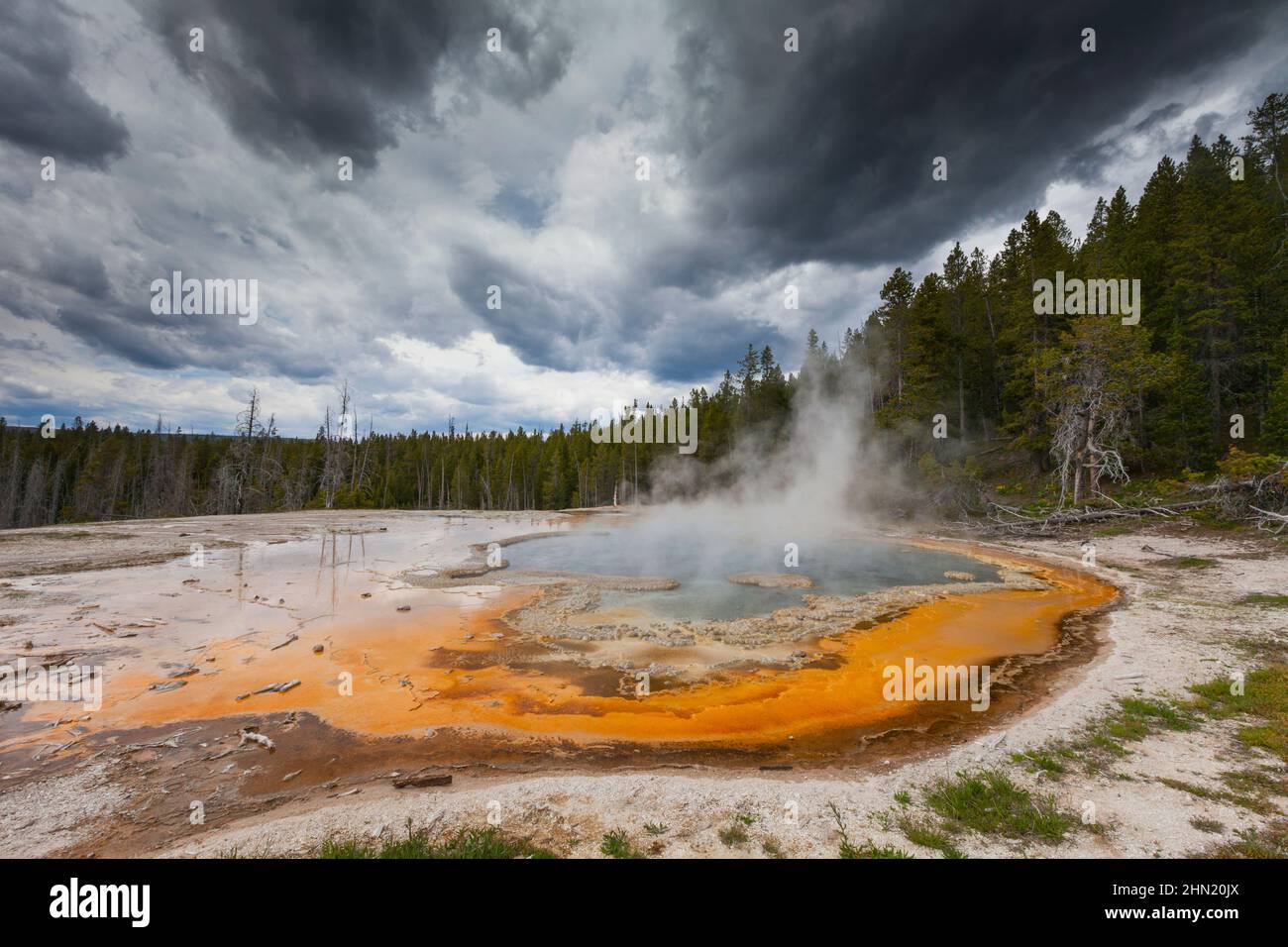 Solitary Geyser, auf dem östlichen Pfad zum Observation Point, am Old Faithful Geyser Basin, Yellowstone NP, Wyoming, USA Stockfoto