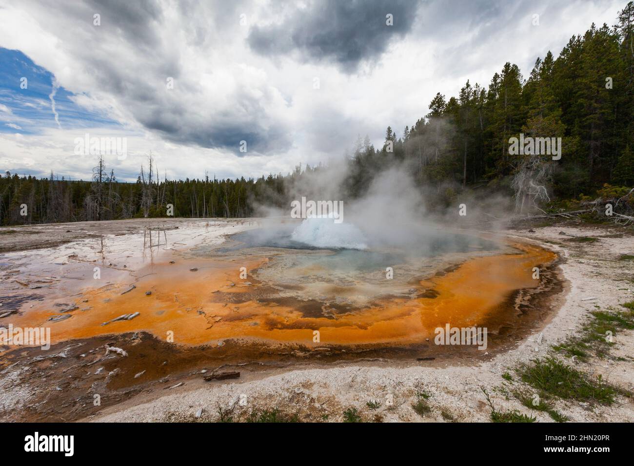 Solitary Geyser, auf dem östlichen Pfad zum Observation Point, am Old Faithful Geyser Basin, Yellowstone NP, Wyoming, USA Stockfoto