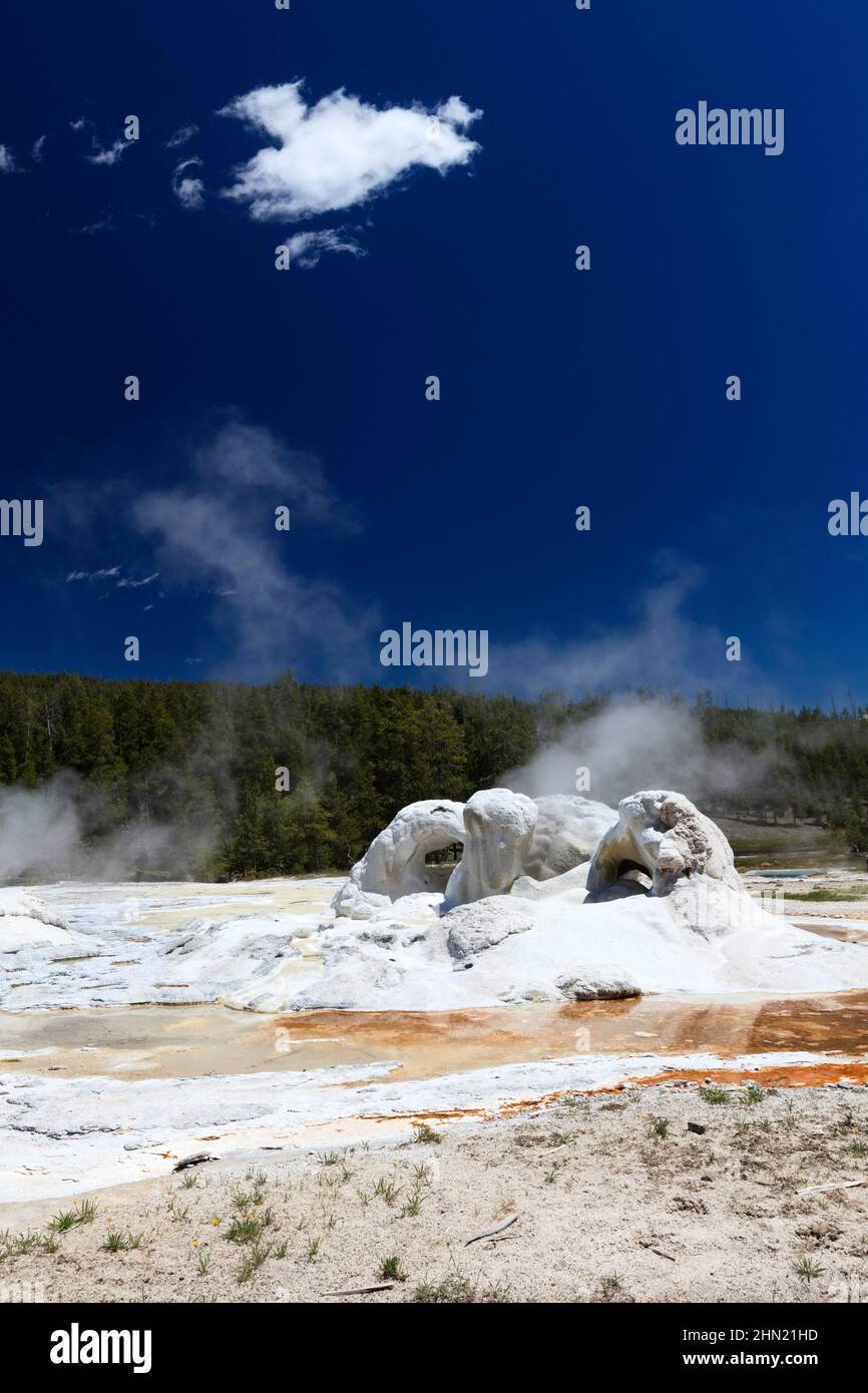 Grotto Geyser, Upper Geyser Basin, Yellowstone NP, Wyoming, USA Stockfoto