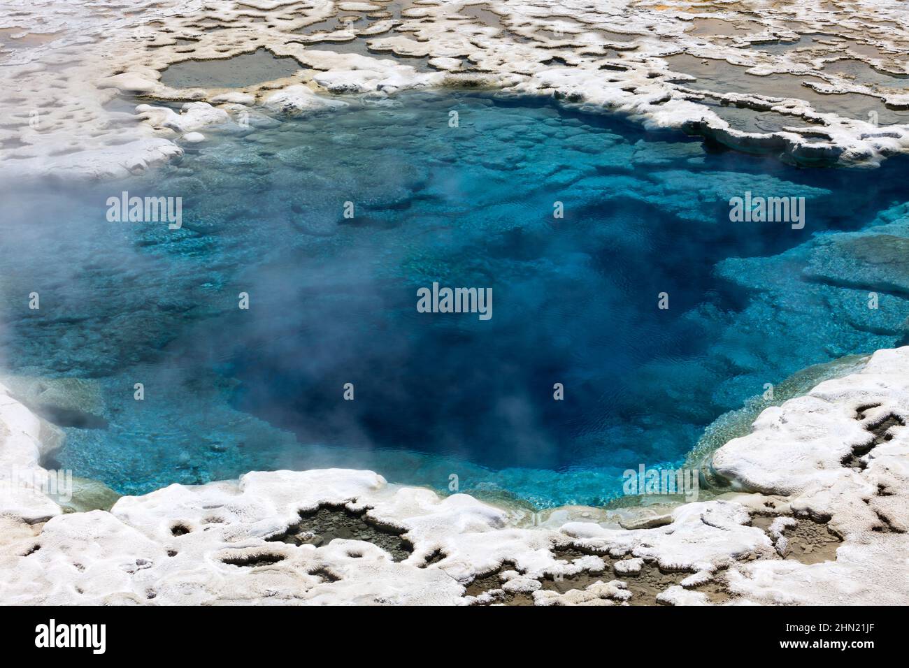 Artemisia Geyser mit breiter Plattform aus Geyserit, Cascade Group, Upper Geyser Basin, Yellowstone NP, Wyoming, USA Stockfoto