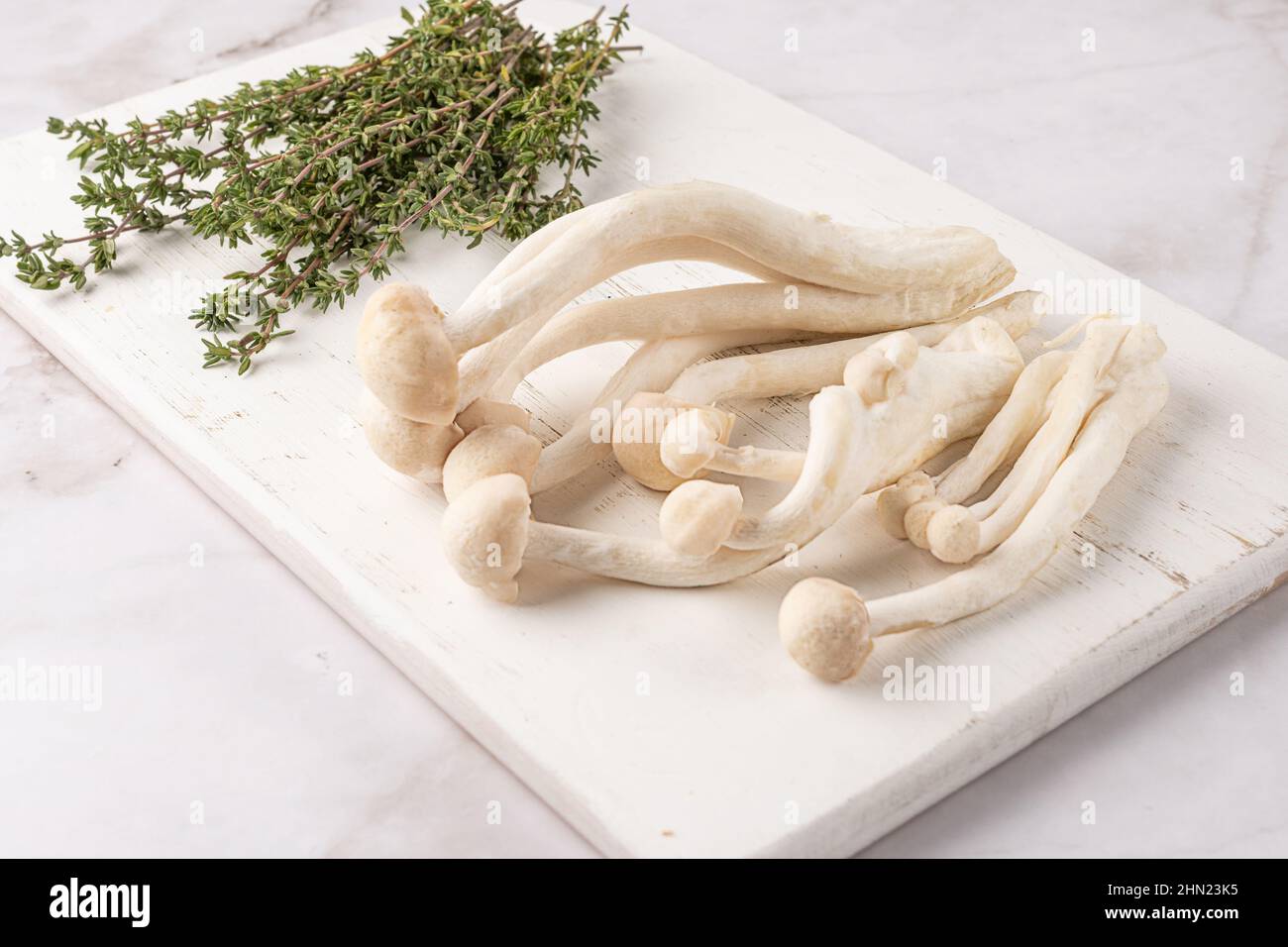 Asiatische Pilze roh essbare Shimeji und Thymian auf Schneidebrett auf weißem Hintergrund. Stockfoto