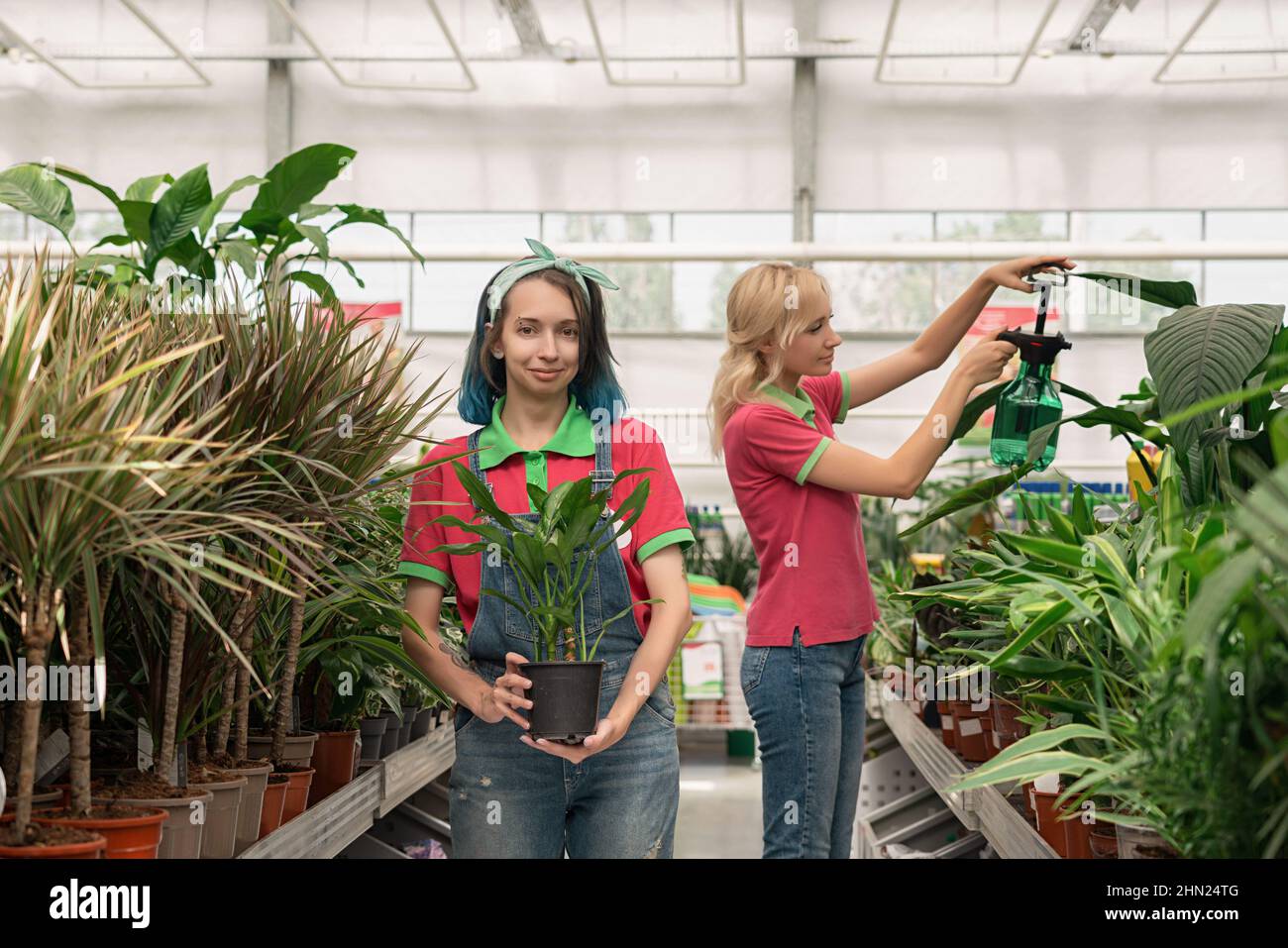 Zwei junge Frauen, die im Gartencenter arbeiten und Blumen arrangieren Stockfoto