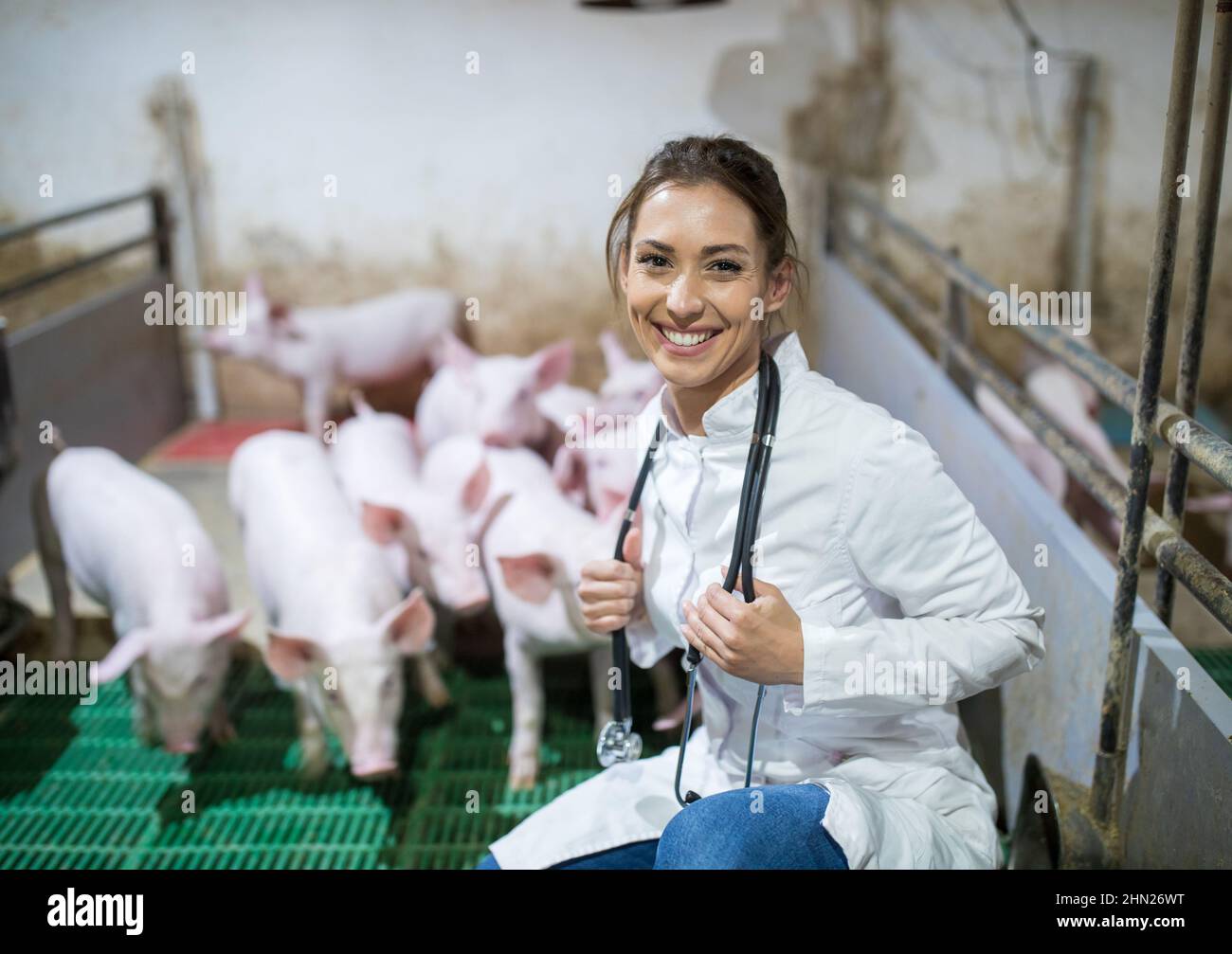Hübsche junge Tierärztin im weißen Mantel und mit Stethoskop hocken in modernen Ferkeln mit Ferkeln Stockfoto