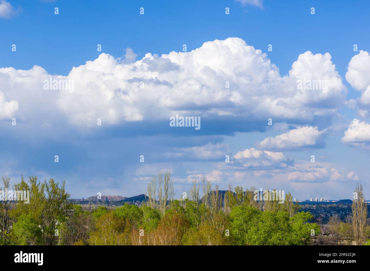 Frühlingslandschaft - leuchtend grüne Bäume mit jungen Blättern an einem hellen warmen sonnigen Tag im frühen Frühjahr. Stockfoto