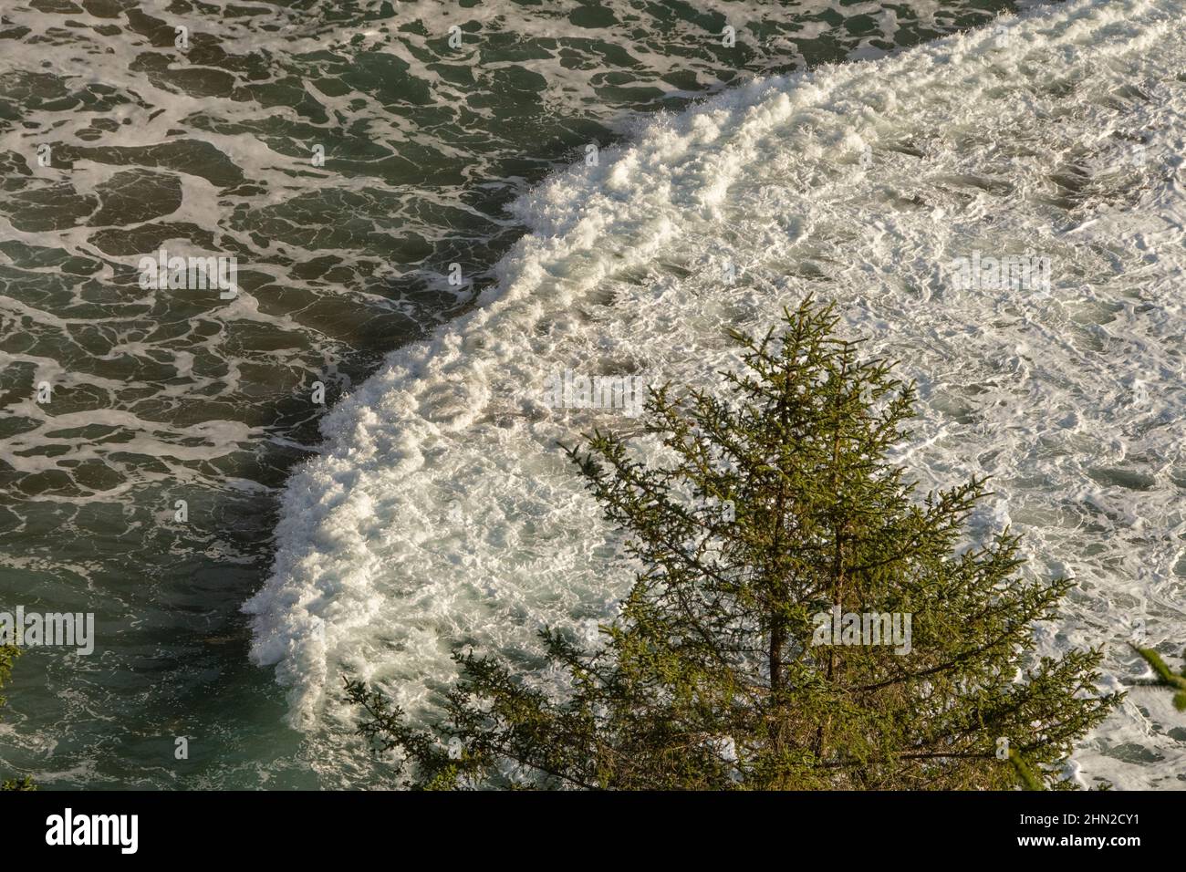 Eintreffende Welle von oben, Oregon Coast Stockfoto