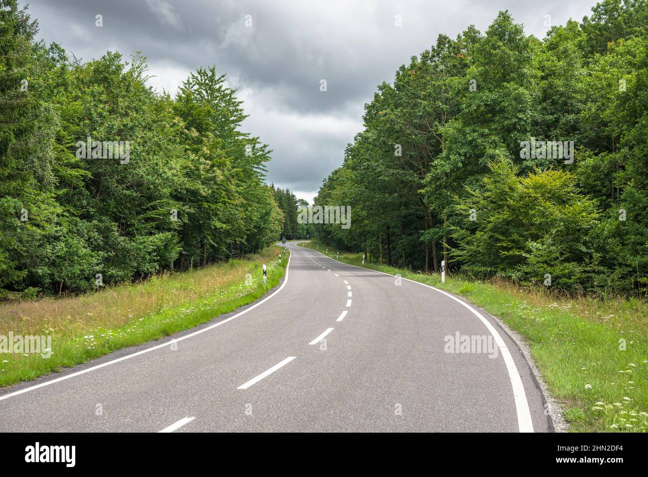 Leere kurvenreiche Landstraße durch Wälder unter Sturmwolken im Sommer Stockfoto