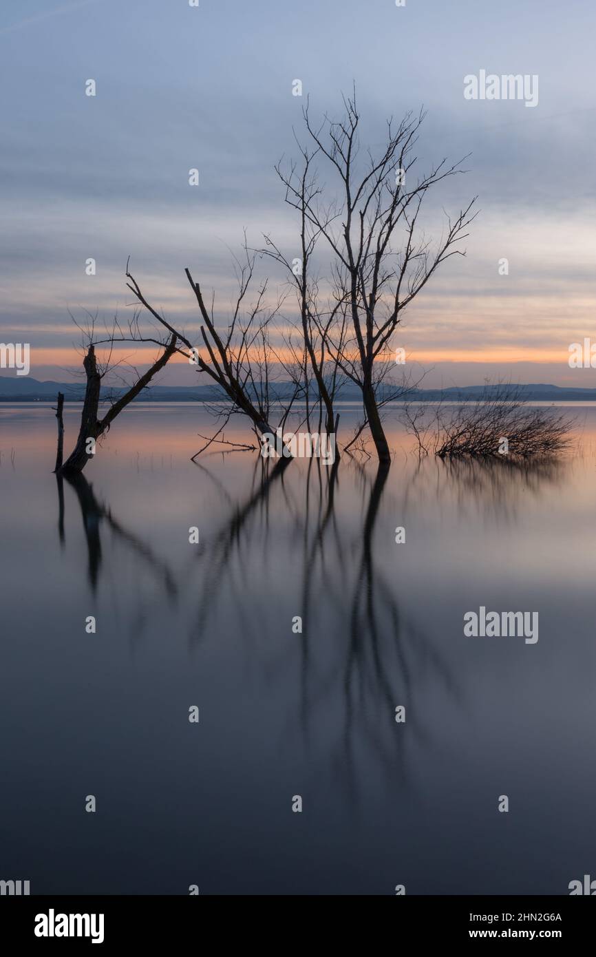 Perfekt symmetrische Bäume spiegeln sich auf einem See in der Dämmerung Stockfoto