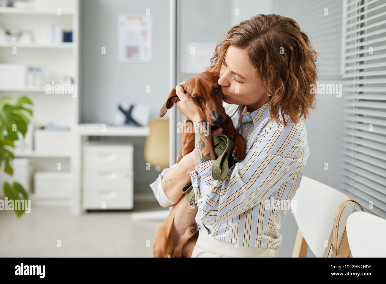 Moderne junge Frau küsst braunen Dackel, während sie ihr niedliches Haustier in der Lounge des Tierkrankenhauses an den Händen hält Stockfoto