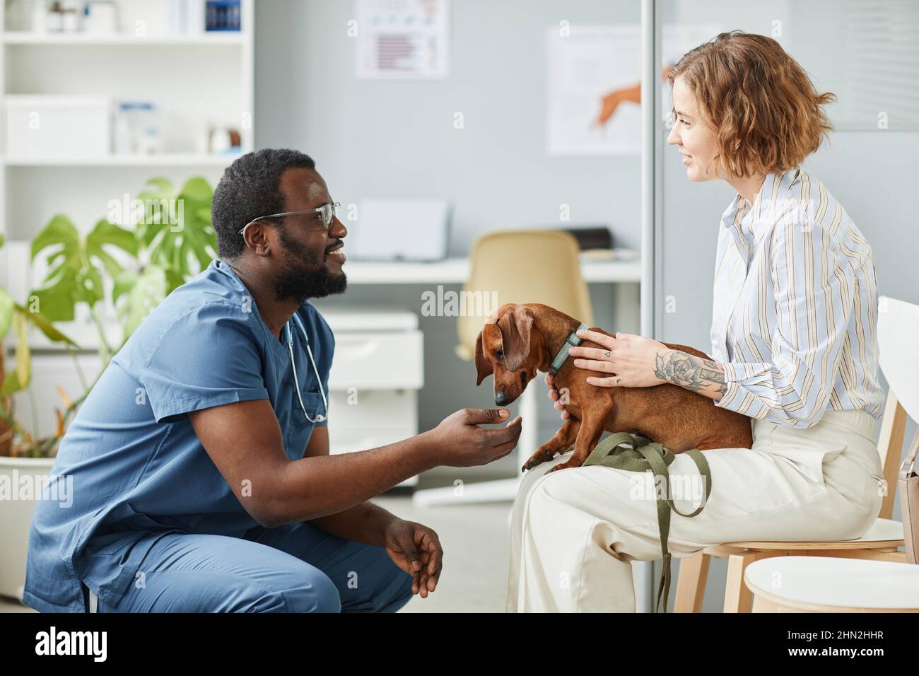 Glücklicher junger Tierbesitzer, der sich mit einem afroamerikanischen männlichen Tierarzt in blauen medizinischen Scrubs beraten hat, der auf Kniebeugen vor ihr sitzt Stockfoto