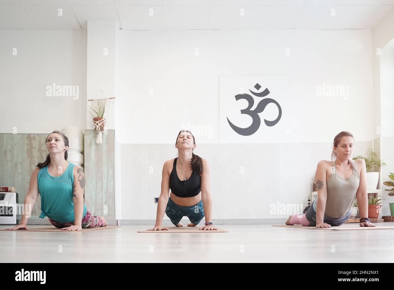 Drei junge Frauen machen im Unterricht komplexe Yoga-Asanas. Urdhva Mukha Svanasana - Nach Oben Gerichtete Hundehaltung Stockfoto