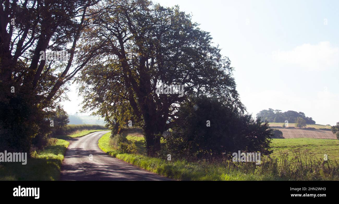 Blick auf den Belvoir Park zum Cedar Hill Stockfoto